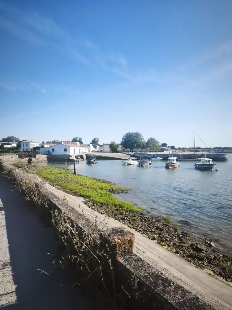 Échappée à Loix : Le charme discret d'une presqu'île au cœur des marais