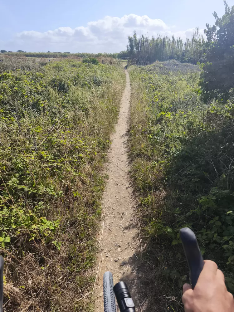 Dimanche au soleil : l'Île de Ré à vélo et détente au Clos des Pins