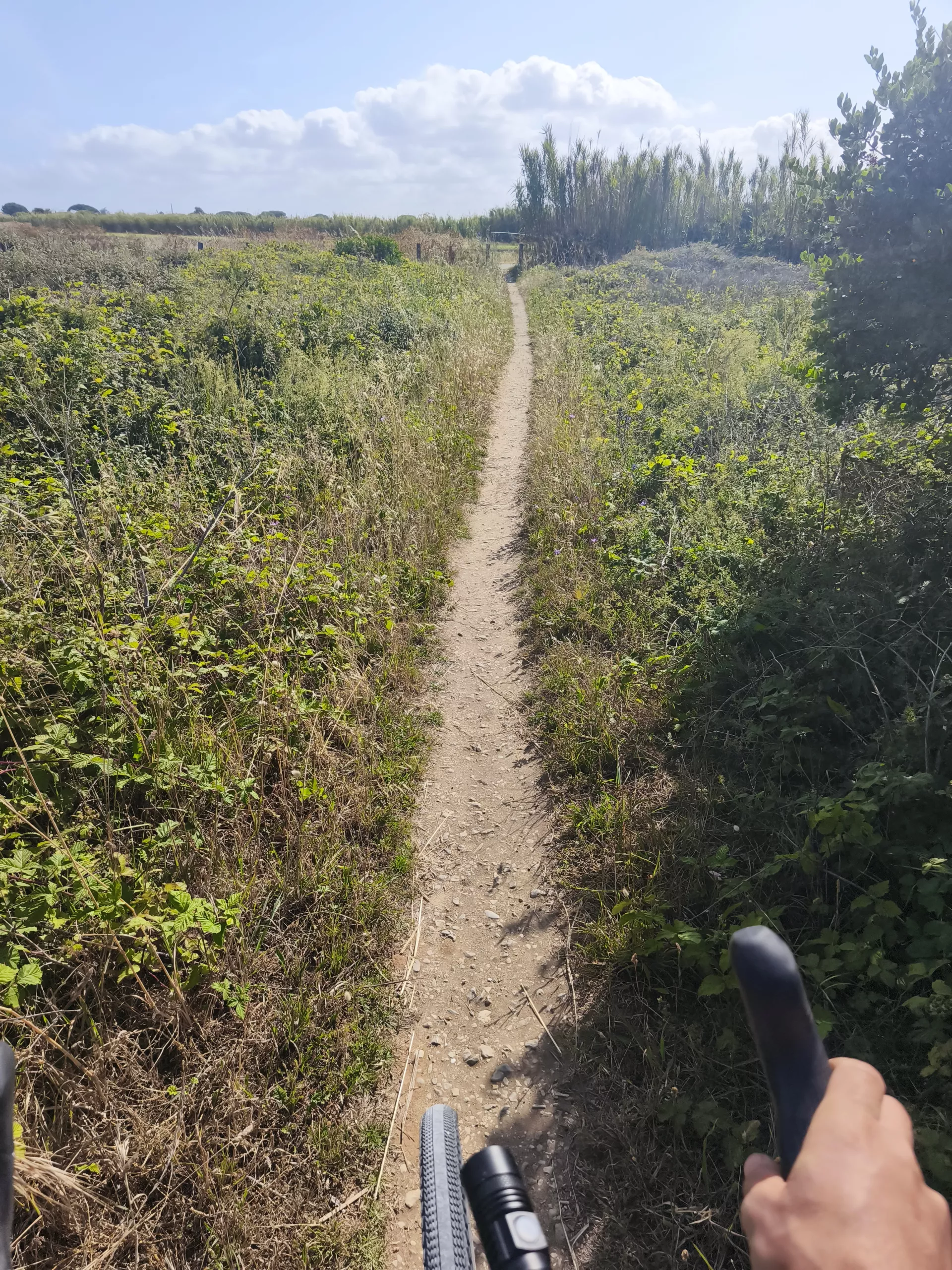 Dimanche au soleil : l'Île de Ré à vélo et détente au Clos des Pins