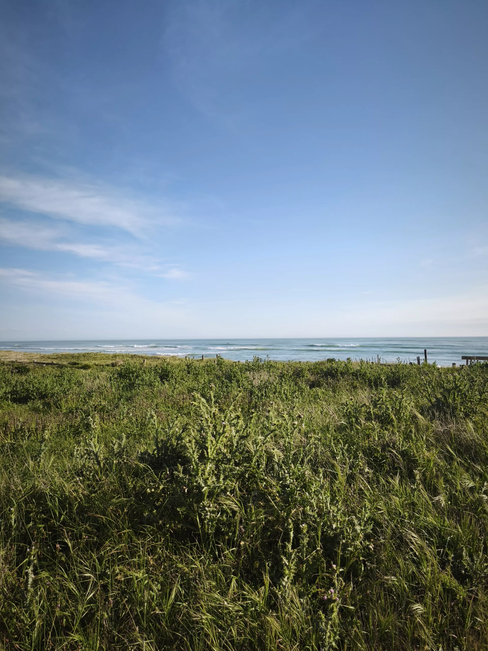 Guide du Surf sur l'Île de Ré : Les meilleurs spots illustration secondaire