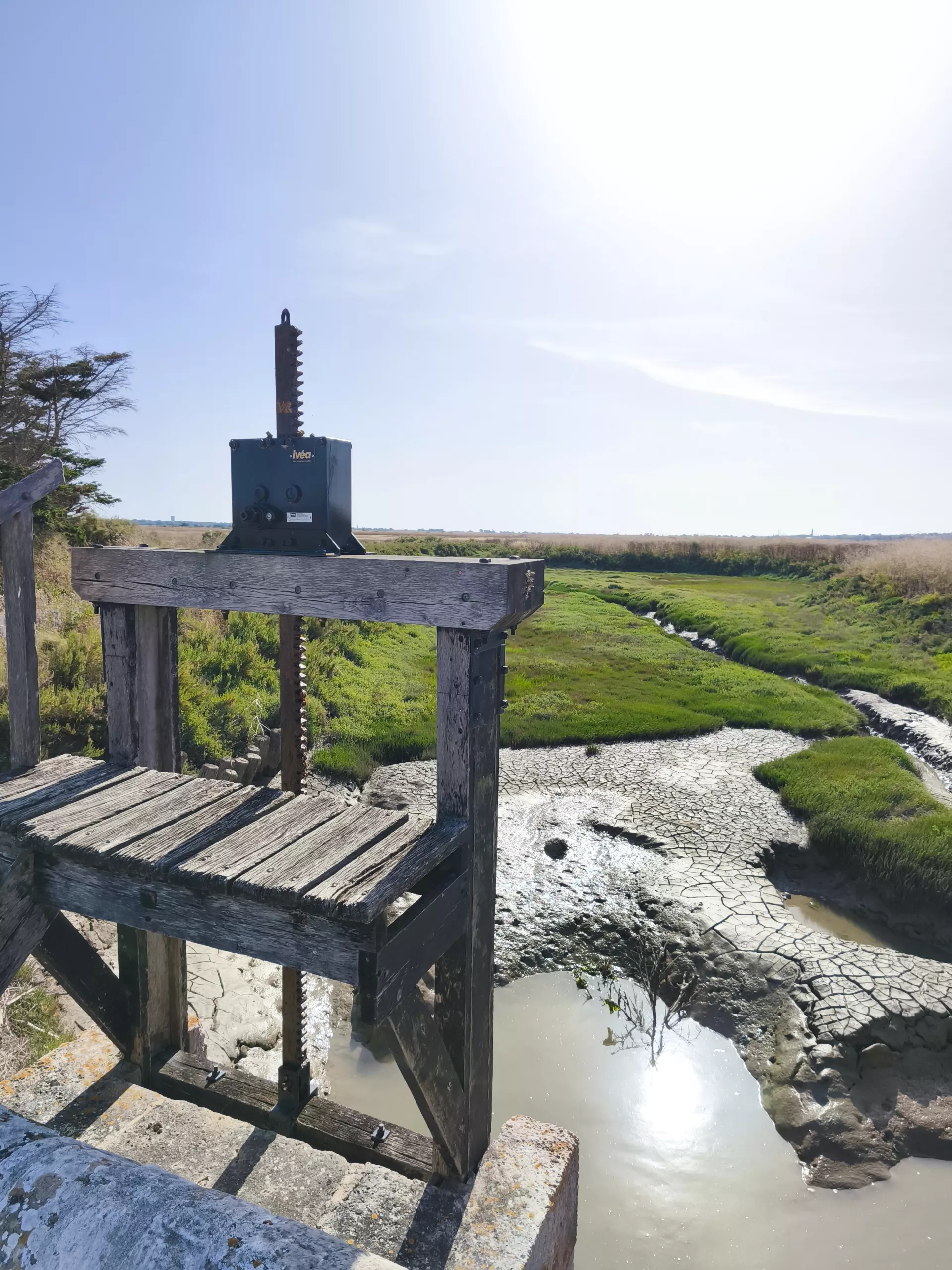 À la découverte des marais salants et de la Maison du Fier : la nature préservée de l'Île de Ré