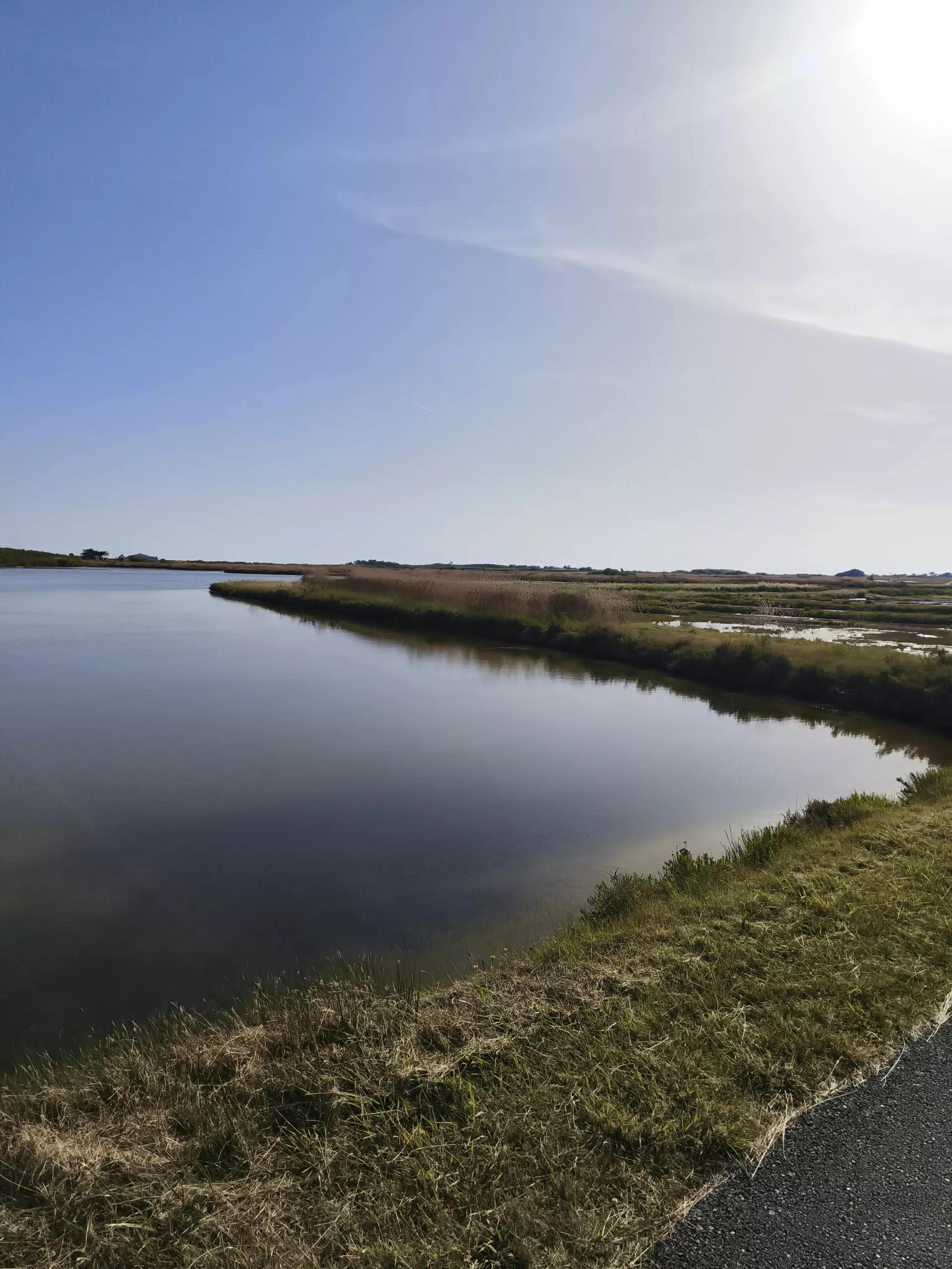 À la découverte des marais salants et de la Maison du Fier : la nature préservée de l'Île de Ré illustration secondaire